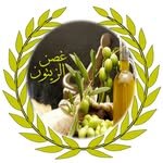 غصن الزيتون